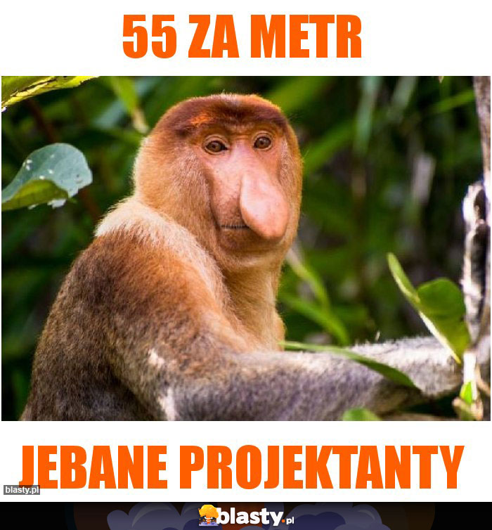 55 za metr 55 za metr