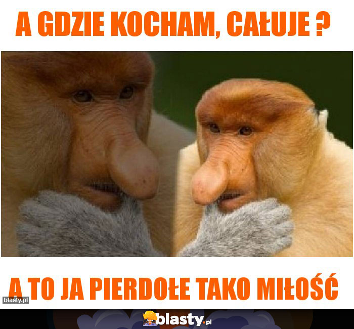 A gdzie kocham, całuje ? A gdzie kocham, całuje ?