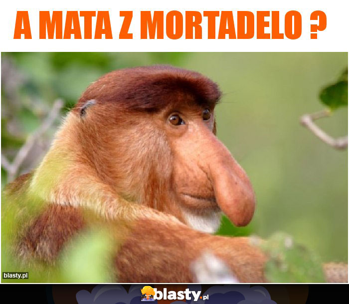 A MATA Z MORTADELO ? A MATA Z MORTADELO ?