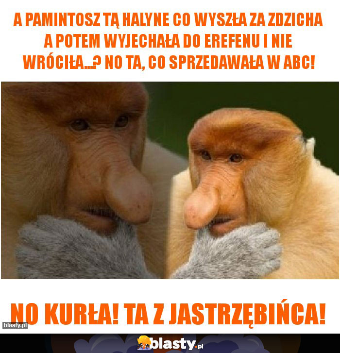 A pamintosz tą HALYNE co wyszła za zdzicha a potem wyjechała do erefenu i nie wróciła...? no ta, co sprzedawała w abc! A pamintosz tą HALYNE co wyszła za zdzicha a potem wyjechała do erefenu i nie wróciła...? no ta, co sprzedawała w abc!