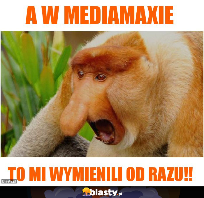 A w Mediamaxie A w Mediamaxie