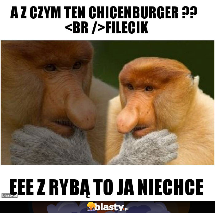 A z czym ten chicenburger ??  
Filecik