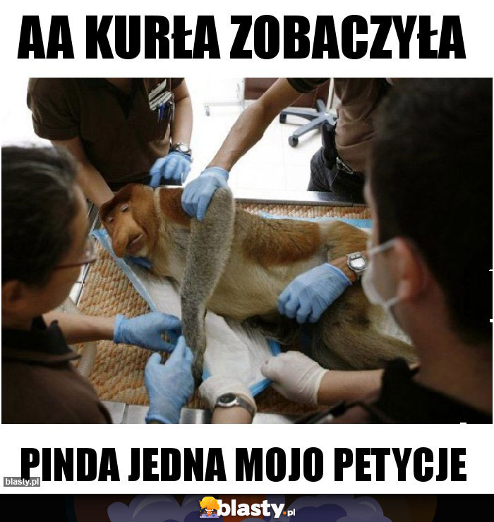 aa kurła zobaczyła aa kurła zobaczyła
