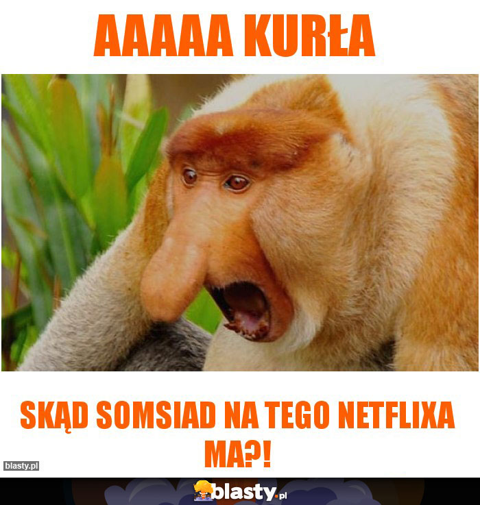 Aaaaa kurła Aaaaa kurła