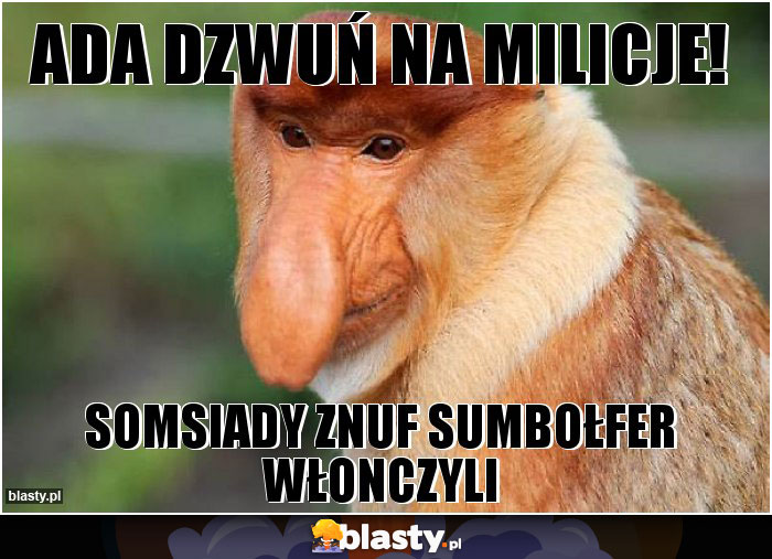 Ada dzwuń na milicje! Ada dzwuń na milicje!