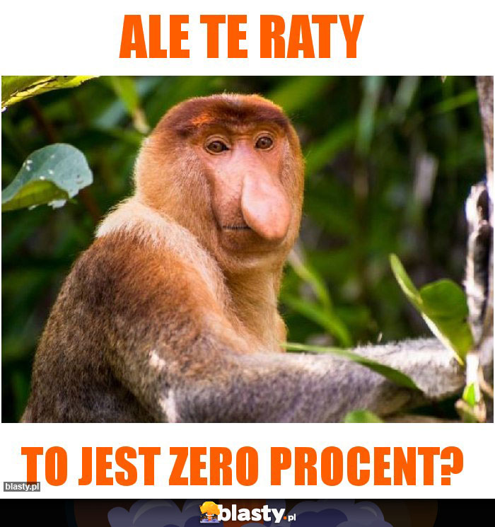 ALE TE RATY ALE TE RATY