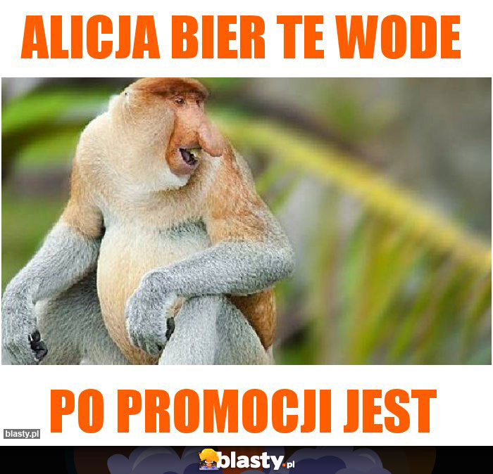 Alicja bier te wode Alicja bier te wode