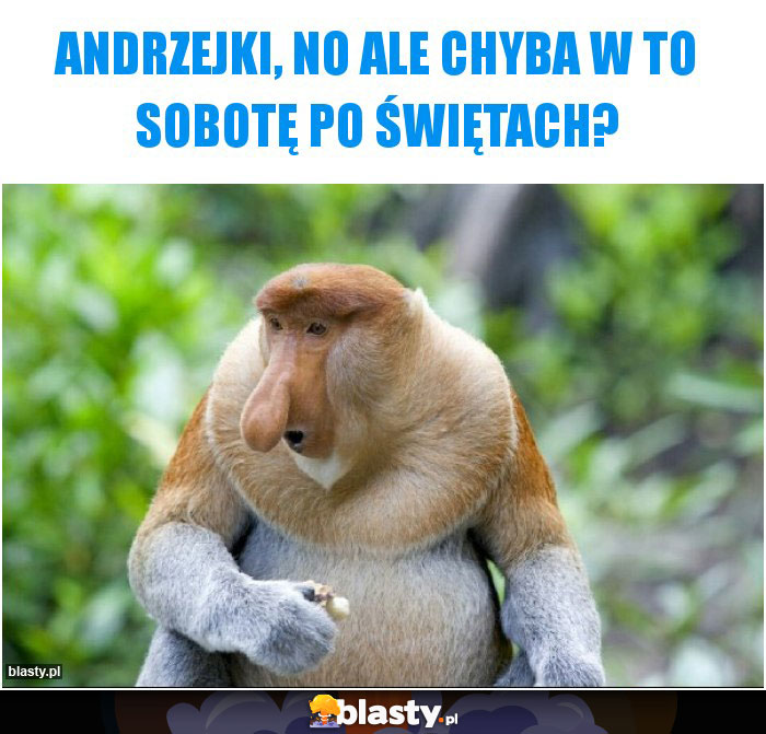 Andrzejki, no ale chyba w to sobotę po świętach? Andrzejki, no ale chyba w to sobotę po świętach?
