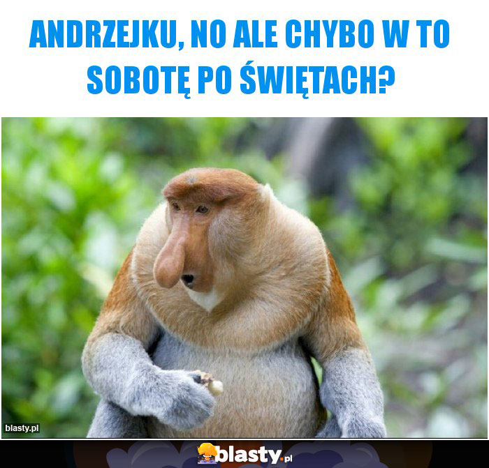 Andrzejku, no ale chybo w to sobotę po świętach? Andrzejku, no ale chybo w to sobotę po świętach?
