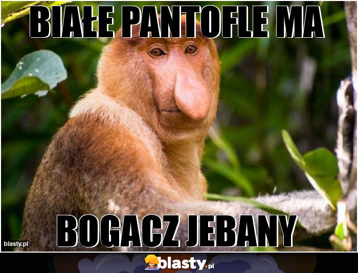 Białe pantofle ma Białe pantofle ma