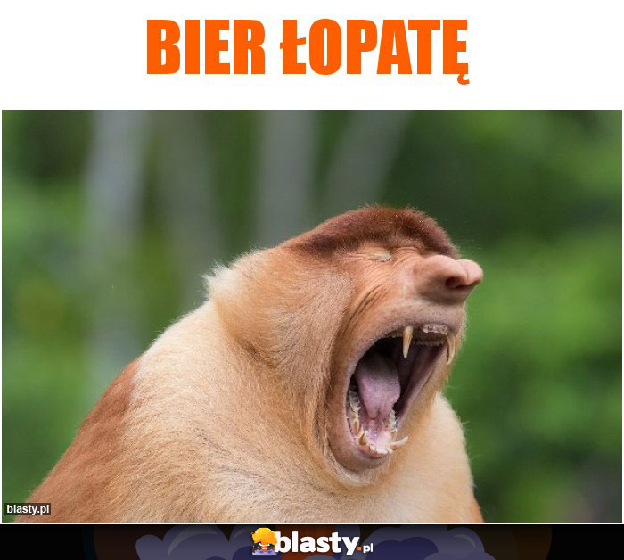 Bier łopatę Bier łopatę