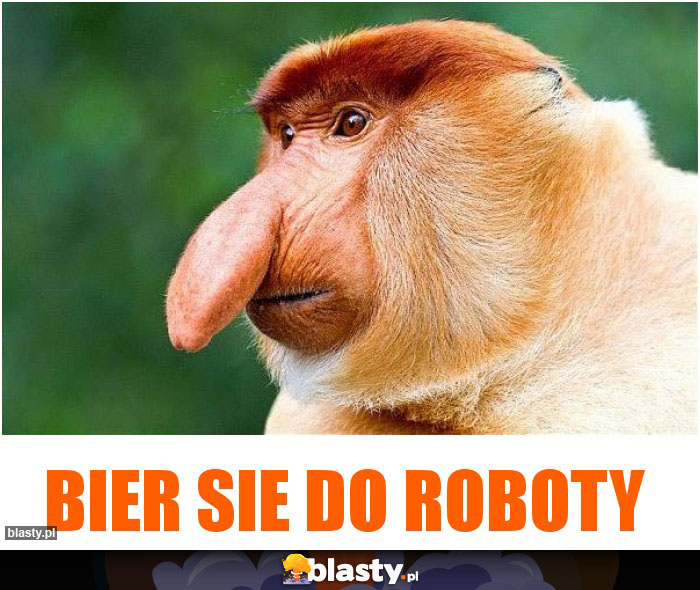 Bier sie do roboty Bier sie do roboty