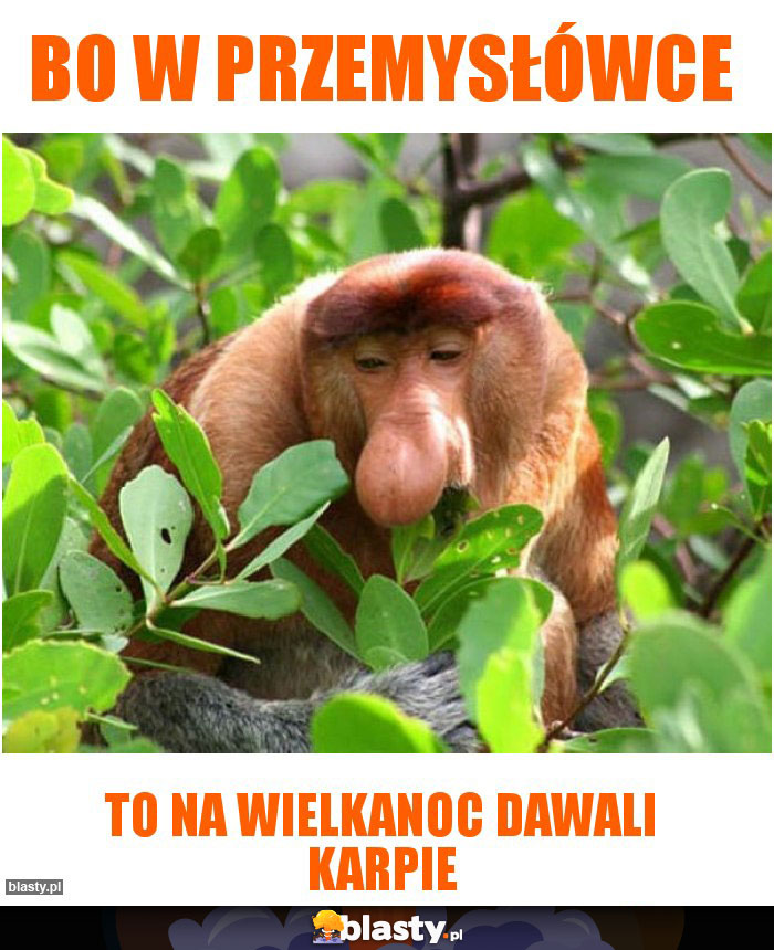 Bo w przemysłówce Bo w przemysłówce