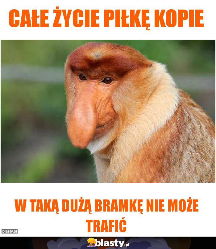 Całe życie piłkę kopie