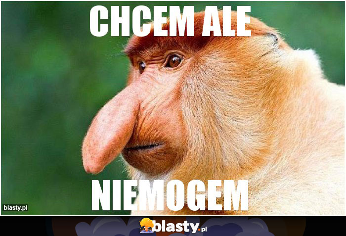 Chcem ale