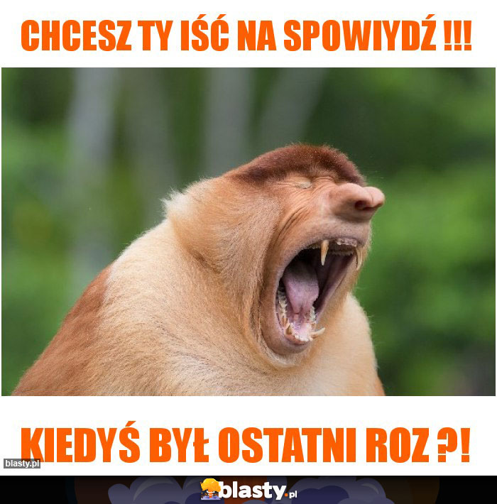 Chcesz ty iść na spowiydź !!! Chcesz ty iść na spowiydź !!!