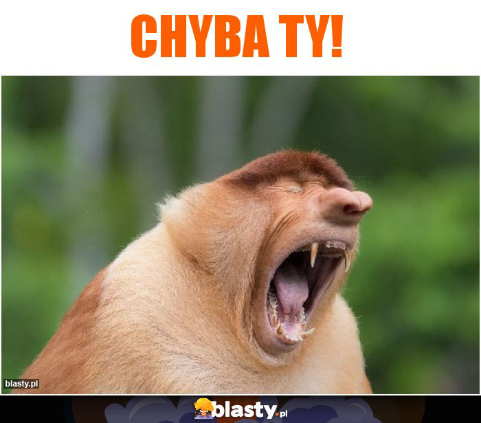 Chyba ty!