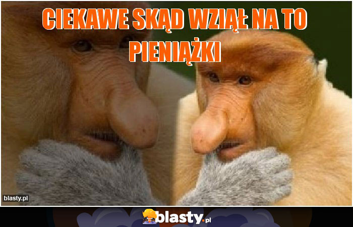 ciekawe skąd wziął na to pieniążki ciekawe skąd wziął na to pieniążki