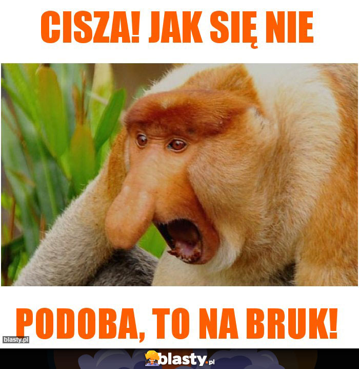 CISZA! Jak się nie CISZA! Jak się nie