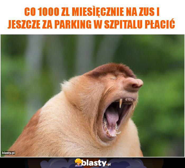 Co 1000 zl miesìęcznie na ZUS i jeszcze za parking w szpitalu płacić Co 1000 zl miesìęcznie na ZUS i jeszcze za parking w szpitalu płacić