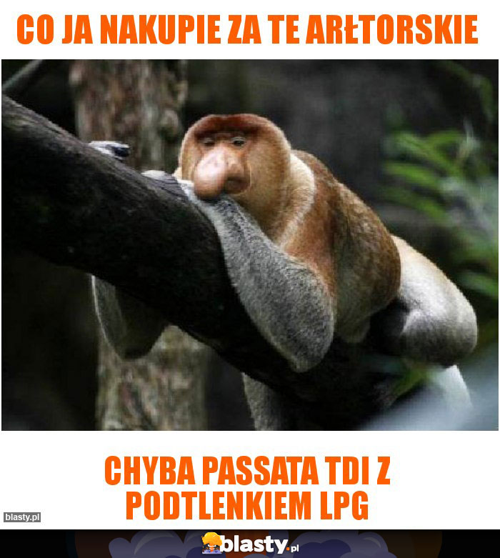 Co ja nakupie za te arłtorskie Co ja nakupie za te arłtorskie
