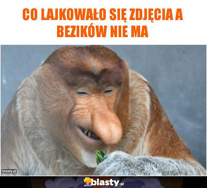 Co lajkowało się zdjęcia a bezików nie ma Co lajkowało się zdjęcia a bezików nie ma