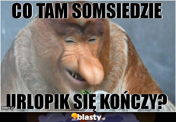 Co tam somsiedzie Co tam somsiedzie