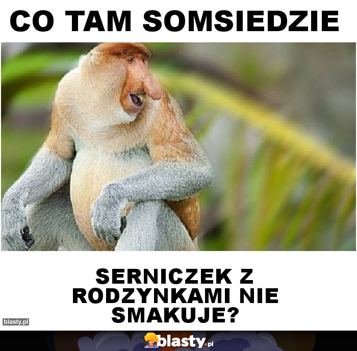 Co tam Somsiedzie Co tam Somsiedzie