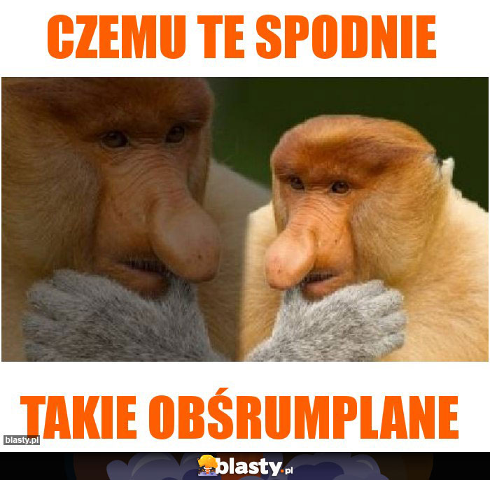 Czemu te spodnie Czemu te spodnie