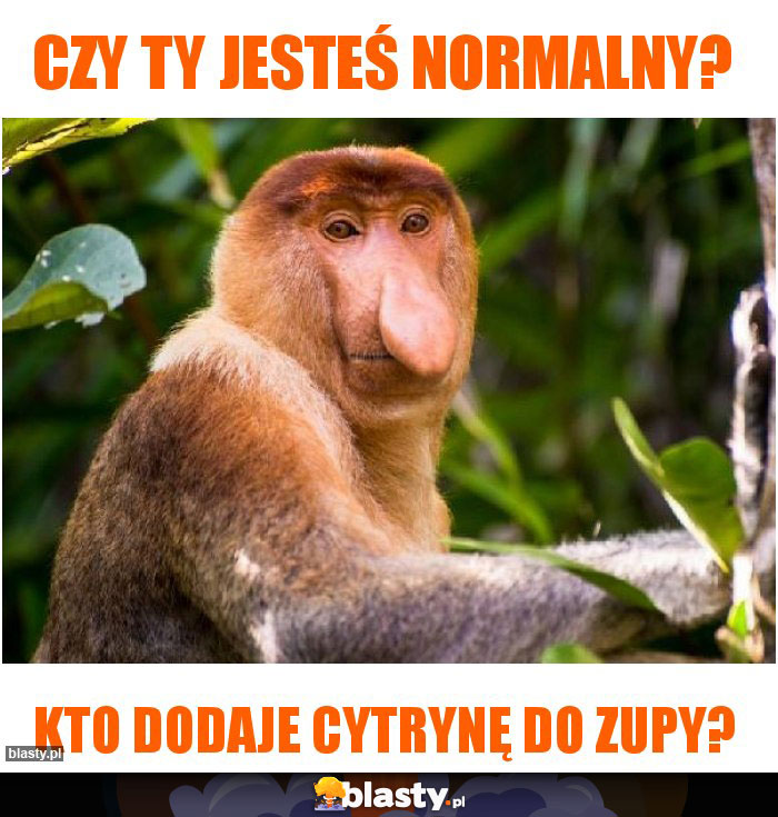 Czy ty jesteś normalny? Czy ty jesteś normalny?