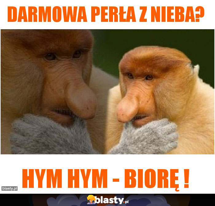 Darmowa Perła z Nieba? Darmowa Perła z Nieba?