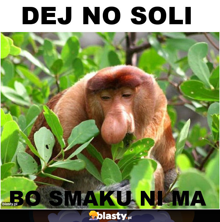 Dej no soli Dej no soli
