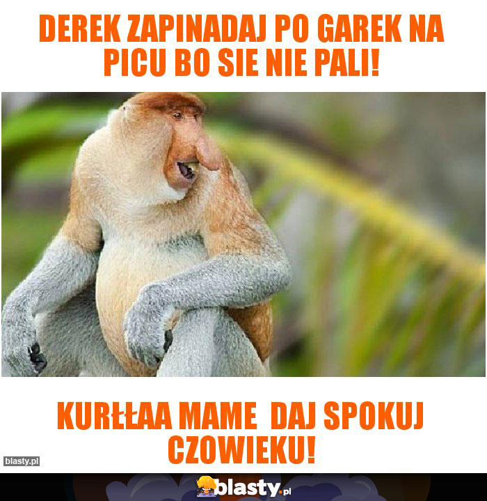 Derek zapinadaj po garek na picu bo sie nie pali! Derek zapinadaj po garek na picu bo sie nie pali!