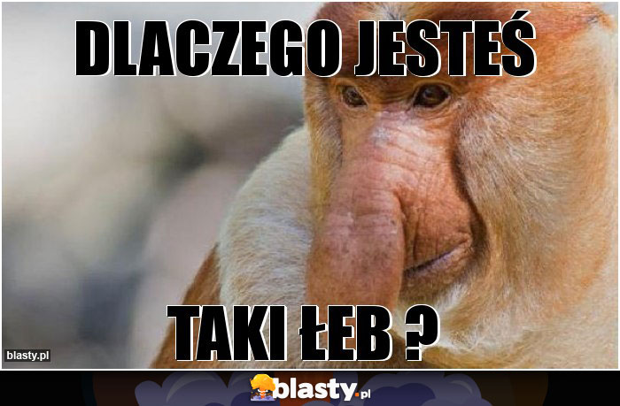 dlaczego jesteś dlaczego jesteś