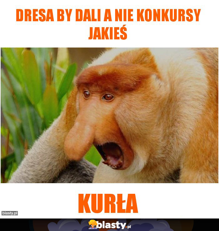Dresa by dali a nie konkursy jakieś Dresa by dali a nie konkursy jakieś