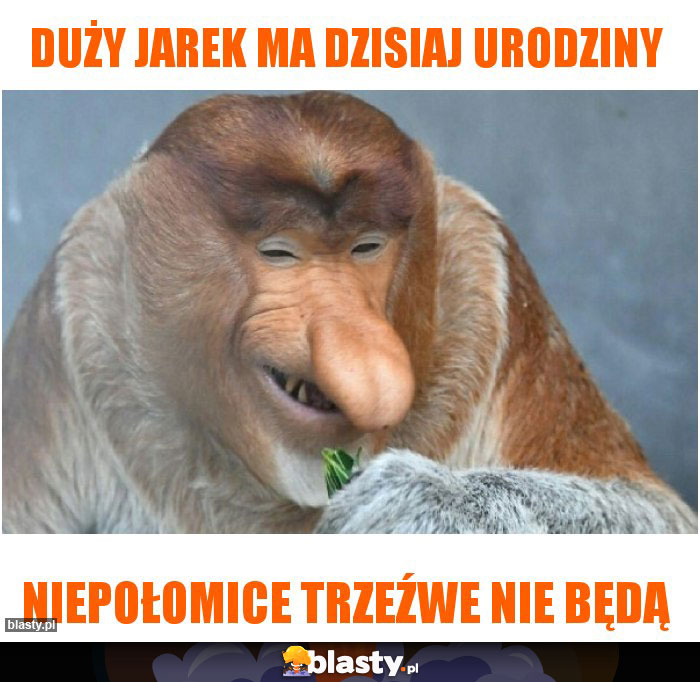 Duży Jarek ma dzisiaj urodziny Duży Jarek ma dzisiaj urodziny