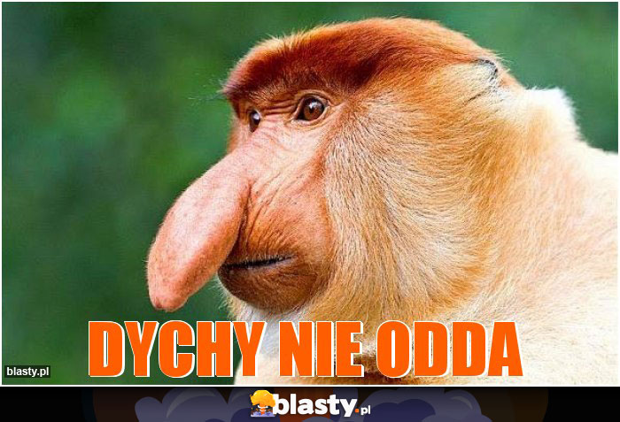 DYCHY NIE ODDA