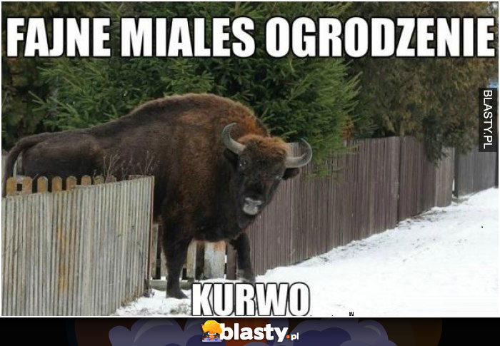 Fajne miałeś ogrodzenie