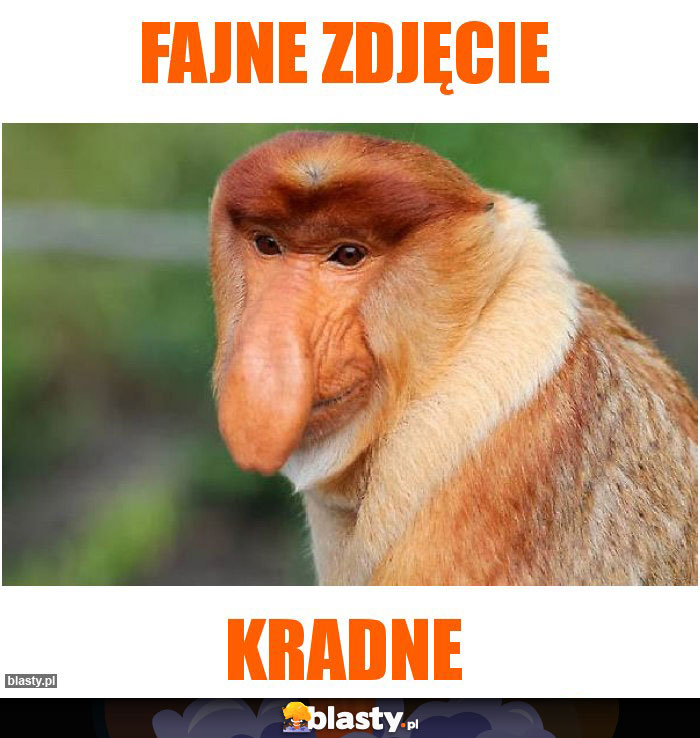 fajne-zdj-cie-memy-gify-i-mieszne-obrazki-facebook-tapety