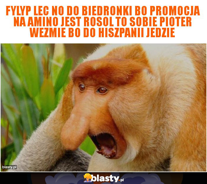 Fylyp lec no do biedronki bo promocja na amino jest rosol to sobie pioter wezmie bo do hiszpanii jedzie Fylyp lec no do biedronki bo promocja na amino jest rosol to sobie pioter wezmie bo do hiszpanii jedzie