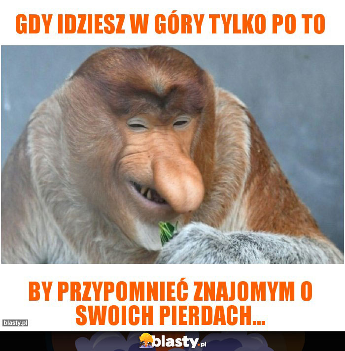 Gdy idziesz w góry tylko po to Gdy idziesz w góry tylko po to