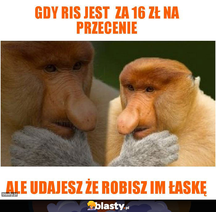 Gdy RIS jest za 16 zł na przecenie Gdy RIS jest za 16 zł na przecenie