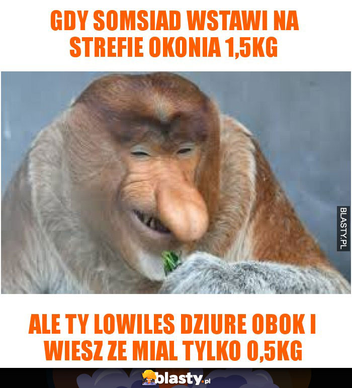 Gdy Somsiad wstawi na strefie okonia 1,5kg Gdy Somsiad wstawi na strefie okonia 1,5kg
