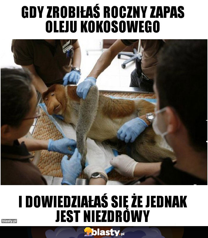 Gdy zrobiłaś roczny zapas oleju kokosowego Gdy zrobiłaś roczny zapas oleju kokosowego