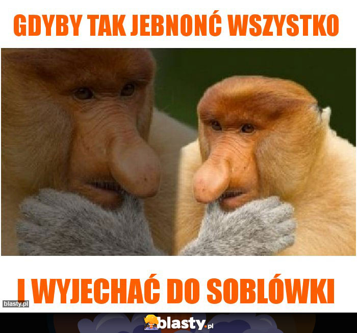Gdyby tak jebnonć wszystko Gdyby tak jebnonć wszystko
