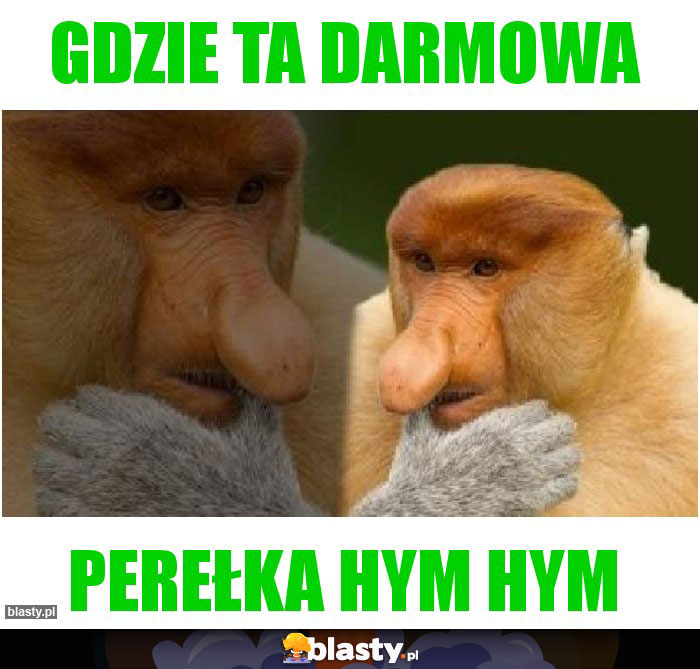 GDzie ta darmowa GDzie ta darmowa