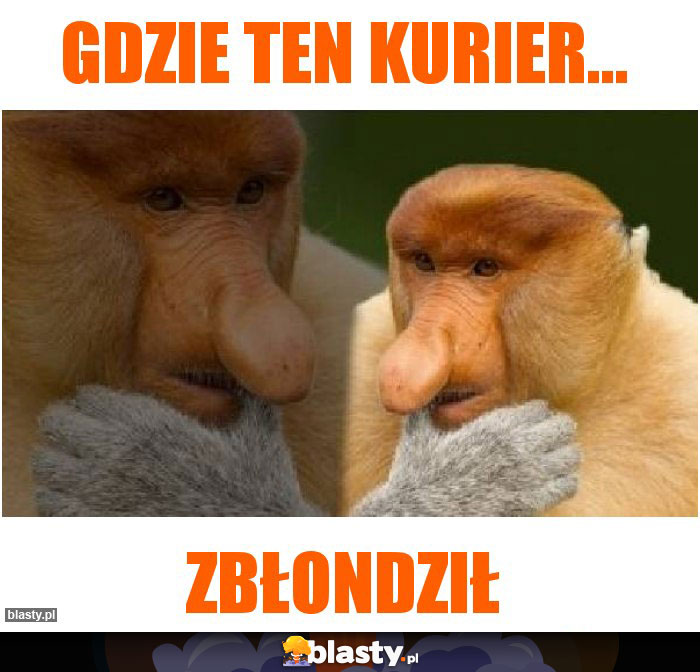 Gdzie ten kurier... Gdzie ten kurier...
