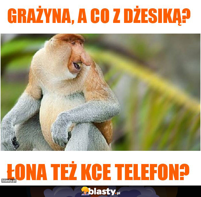 grażyna, a co z dżesiką? grażyna, a co z dżesiką?
