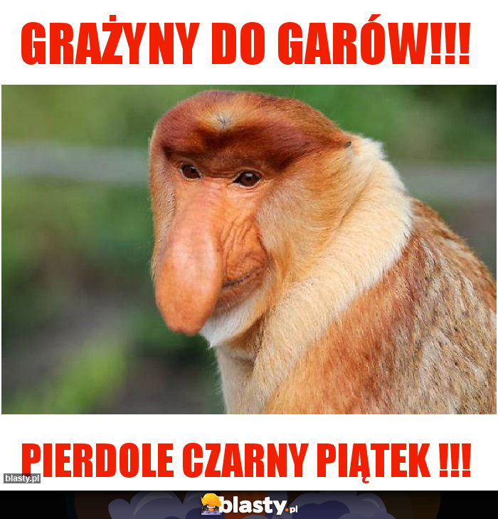 GRAŻYNY DO GARÓW!!! GRAŻYNY DO GARÓW!!!