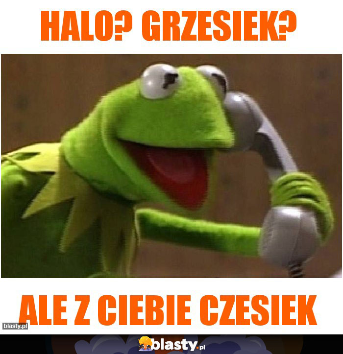 Halo? Grzesiek? Halo? Grzesiek?